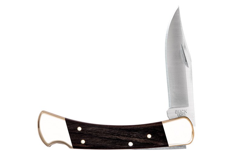 Buck 110 Folding Hunter Knife