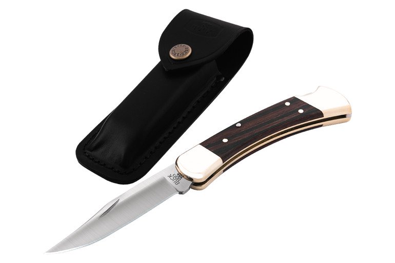 Buck 110 Folding Hunter Knife