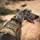 OneTigris Tactical Dog Harness - Fire Watcher Comfortable Patrol Vest (Coyote Brown, X-Large)