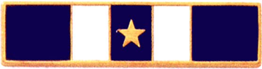 Years of Service Recognition Bar w/star in the center section.