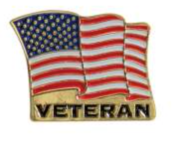 Rothco Veteran US Flag Pin